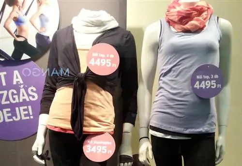 Чибо: вы уже видите, чего ожидать от витрины магазина