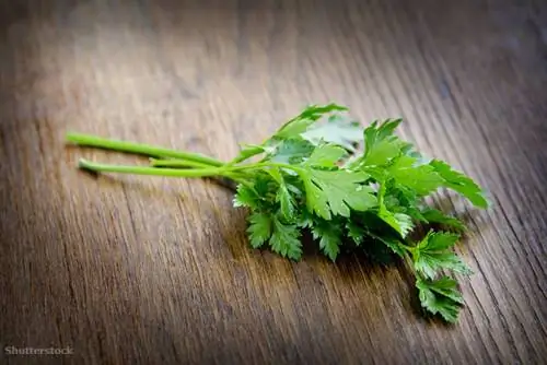 жалюзи 115148308