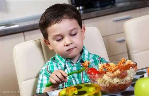 жалюзи 144307249