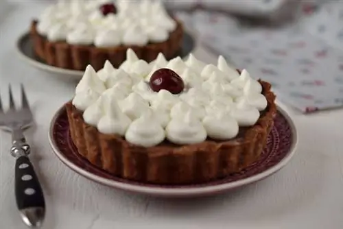 Шварцвальд3