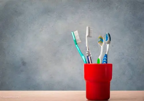 жалюзи 226807465