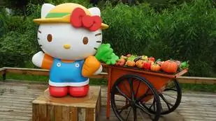 Как взаимодействуют Hello Kitty и органическое земледелие?