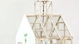 Заменит ли общественная теплица общественные сады?