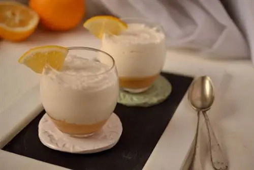 Пена Meyer Curd1(1)