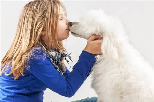 затвор 184251713