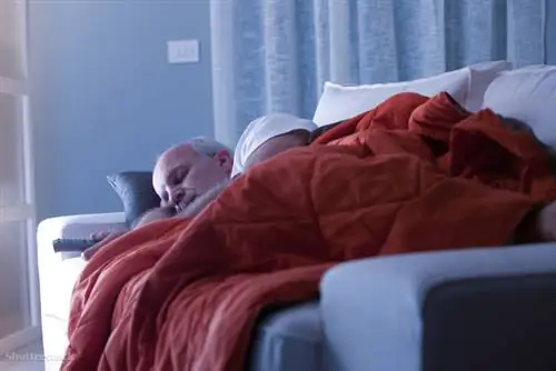 затвор 232122376