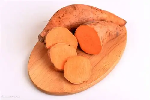 жалюзи 250569379