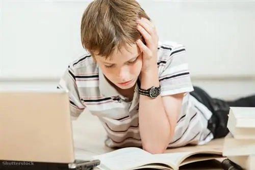 затвор 234563818