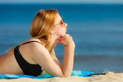 затвор 255066343