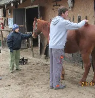 Могло быть и так: чудо умственно отсталых на ферме