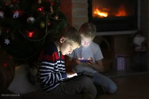 затвор 164534891