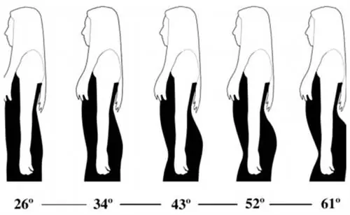 264EAEB900000578-0-изображение-а-11 1425469274532