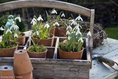 Гетти Изображения 126018384