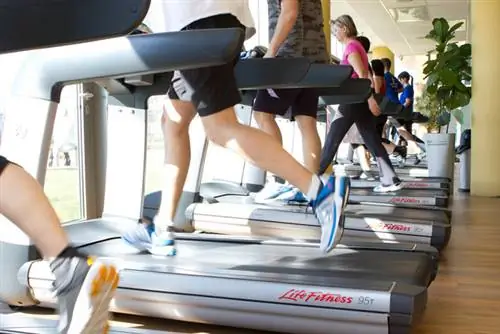 Беговых дорожек действительно хватает