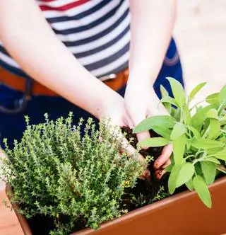 Домашние ароматные бомбы, которыми можно наслаждаться на балконе