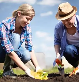 Обратите внимание на это при покупке семян или рассады