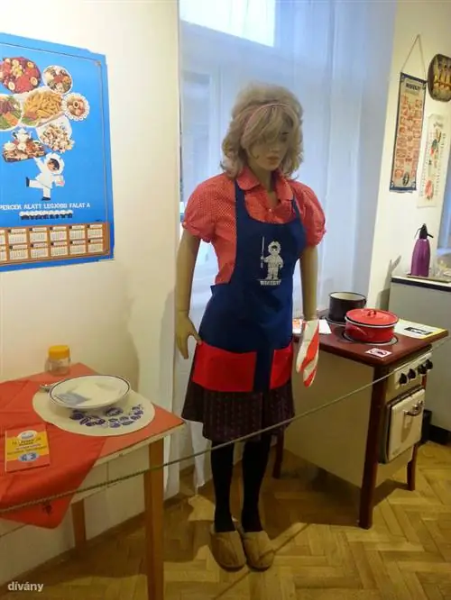 Кухня наверное из семидесятых, не понятно к чему дизайнеры выставки хотят этим отсылать