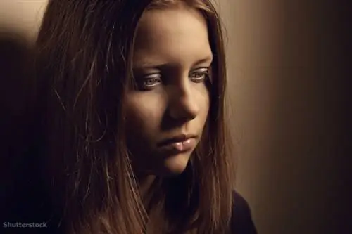 жалюзи 204460750