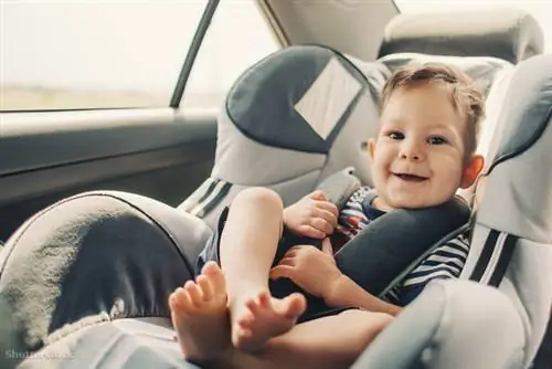 жалюзи 219178210