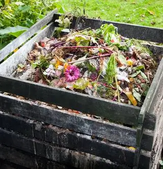 Компостер для кондоминиума? Даже бесплатно