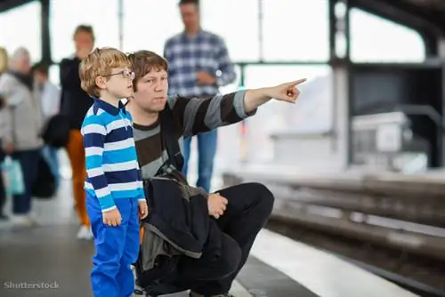 жалюзи 205213141