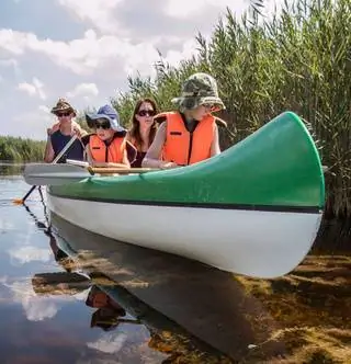 4+1, если надоело поливать