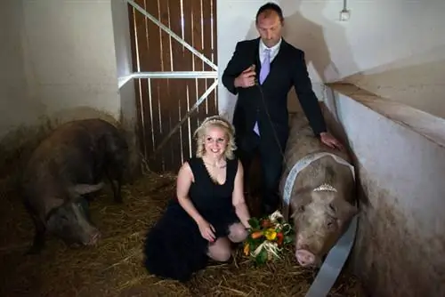 Тюнчи (внизу справа) с жюри