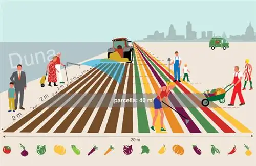 инфографика вице-президента