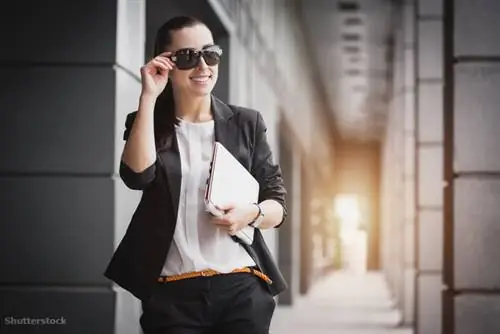 жалюзи 210153661