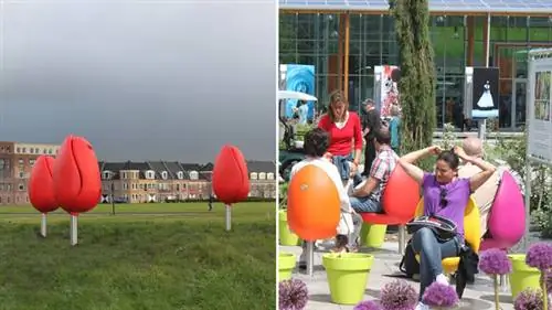 Без названия-1