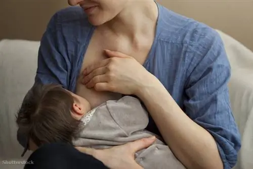 жалюзи 171518102