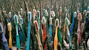 Вы узнаете свою зубную щетку на этом пляже?