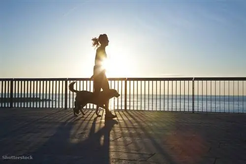 жалюзи 133360097