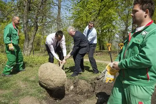 Д КОС20150423028