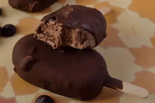 Шоколадный Магнум2