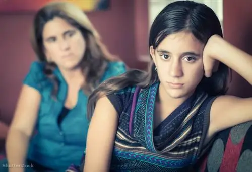 жалюзи 211615906