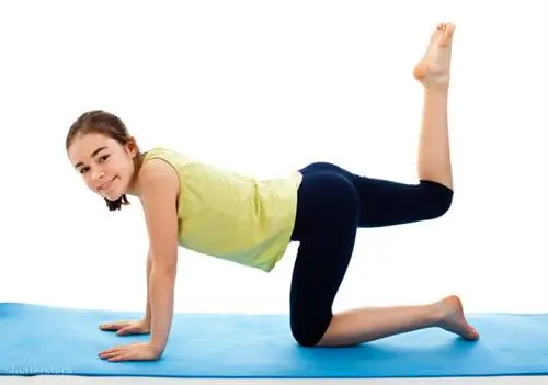 жалюзи 43976110