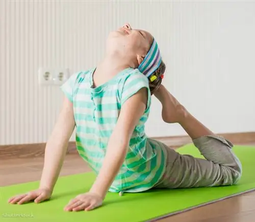 жалюзи 146939537