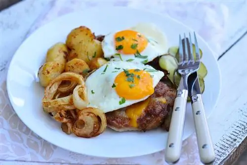 holstein2маленький