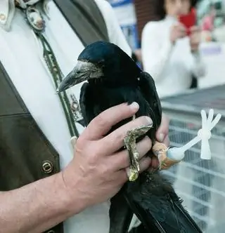 3D-принтер - это круто, и у нас есть тому доказательство