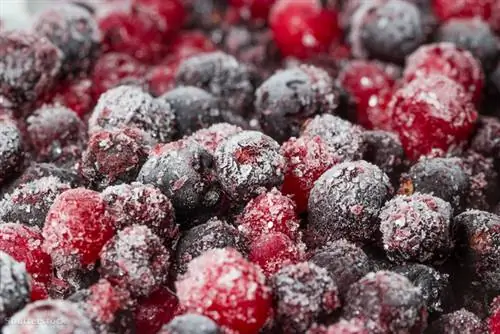 жалюзи 275314727