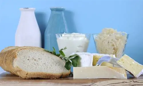 затвор 220725046