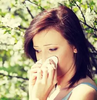 Не выносит пыльцу? Ешьте больше хороших бактерий
