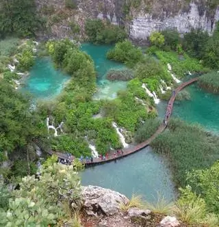 Три активных совета на выходные Троицы