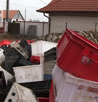 Маленький производитель замаринован в заплесневелом мусорном баке