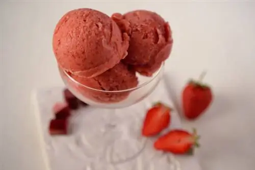 КлубникаRebСтарший2