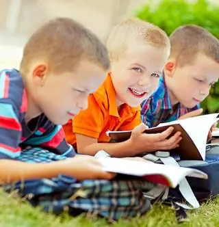 Обменяйтесь сборниками рассказов в Кампоне