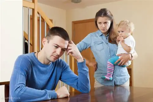 жалюзи 174187004