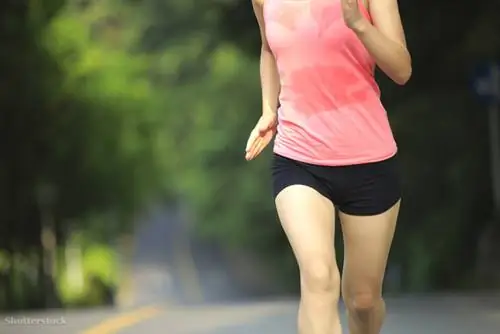 жалюзи 149412152