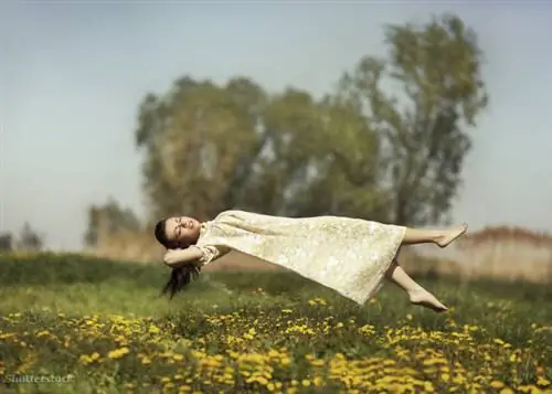 жалюзи 174210479